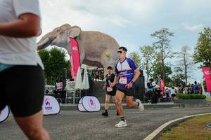 BIB: 
                            <button type="button" onclick="openModal(26528969)" class="btn btn-primary btn-sm float-right btn-popup" data-toggle="modal" data-target=".modal-high-quality">
                        <i class="fas fa-shopping-cart"></i> Add to Cart
                    </button>
                                            <button type="button" onclick="isThisMe(26528969, true)" class="btn btn-success btn-sm float-right btn-popup btn-isme hidden" data-toggle="tooltip" data-placement="bottom" title="นี่คือรูปของคุณใช่ไหม คลิกที่นี่เพื่อเอาเข้าอัลบั้ม">
                        <i class="fas fa-plus"></i> Add to album
                    </button>
                    <button type="button" onclick="isThisMe(26528969, false)" class="btn btn-warning btn-sm float-right btn-popup btn-isnotme hidden">
                        <i class="fas fa-ban"></i> Remove from album
                    </button>